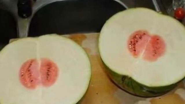 Вот это купил арбуз   Я под столом!!! Bought a funny watermelon! xD