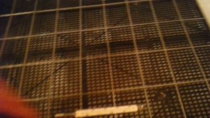 Инкубация яиц бройлеров кобб 500 в домашних условиях.