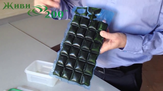 Как пользоваться упаковкой сока ростков пшеницы
