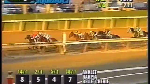 Horse's N Course's November  30, 1999 смотреть онлайн