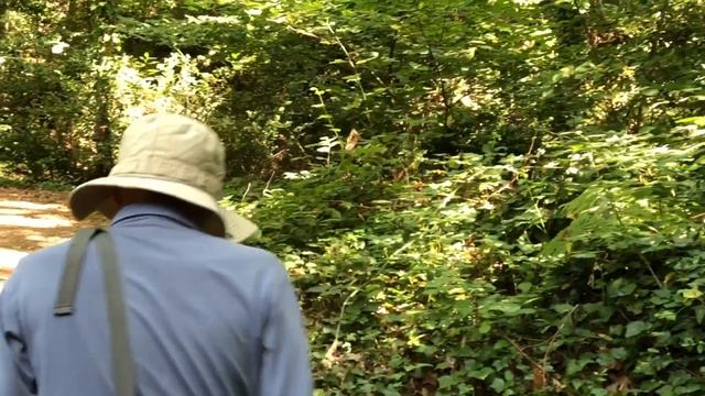 Притча Жадина. смотреть онлайн