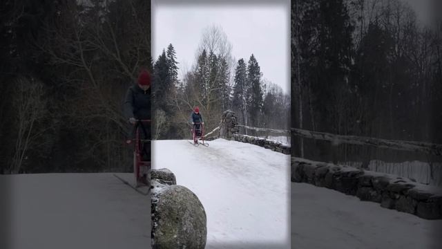 Финские сани #бесплатно #спб #финскиесани #юмор смотреть онлайн