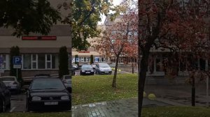 Любовь и нелюбовь...Что стоишь качаясь, тонкая рябина....