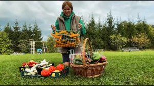 СЕЛЬСКИЕ БУДНИ ФЕРМЕРА В ДЕРЕВНЕ ОСЕНЬЮ