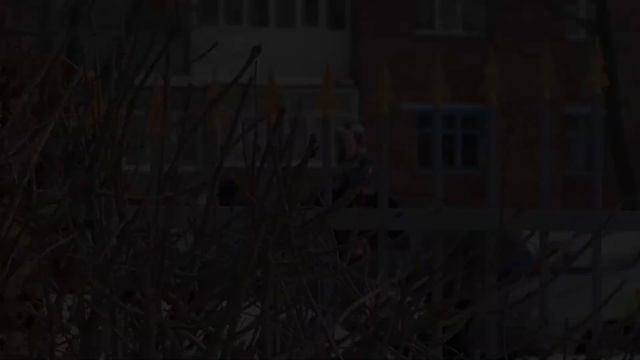 Масленица 2020 смотреть онлайн