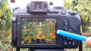 Full Manual Mode Nikon Coolpix P1000 B700 P900 Tutorial