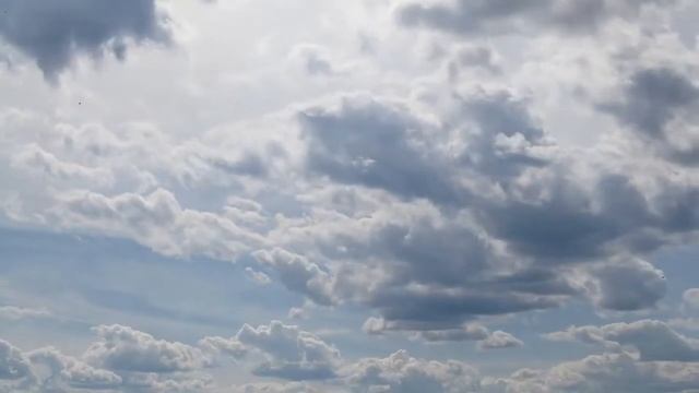 Андрей Дементьев "Мы на земле живём нелепо"