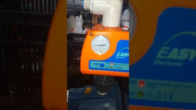 Easy press Pedrollo 110V 60Hz смотреть онлайн