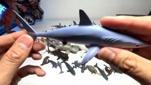 NEW Sea Animals & Sharks Collection!