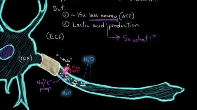 The ischemic cascade in stroke | Circulatory System and Disease | NCLEX-RN | Khan Academy