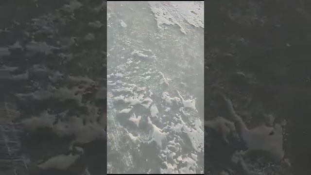 полное видео Уссурийск ул арсеньева 1 2этаж 89245246006 rybalka_ussur #рыбалка #снасти #приморье смотреть онлайн