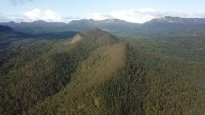 20.09.2019 г. Государственный природный биологический заказник областного значения "Макаровский".