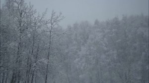 Свиридов "Поёт зима, аукает"