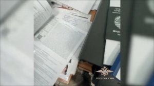 Ирина Волк: Полицейские задержали подозреваемых в организации незаконной миграции