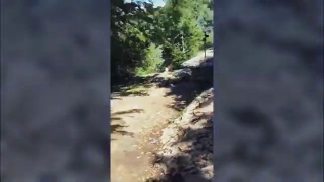 SKYPARK TRAIL смотреть онлайн