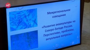 В Великом Новгороде прошло совещание Северо-Западного территориального управления Росрыболовства