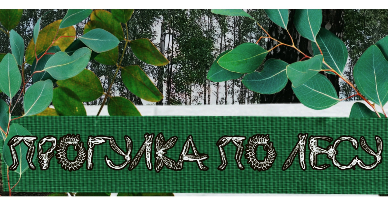 АСМР|Прогулка по лесу|Триггеры|