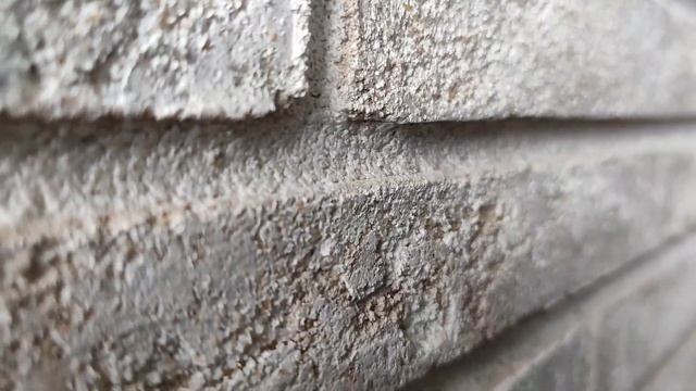 Ригельная плитка - Wandermode цвет: «Ригель R50 - P010R20 Weisser moos» смотреть онлайн