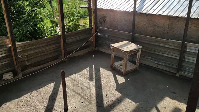 Что было задумано - ДЕЛАЕТСЯ играючи смотреть онлайн