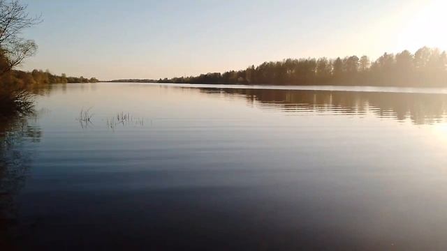 Пошехонье