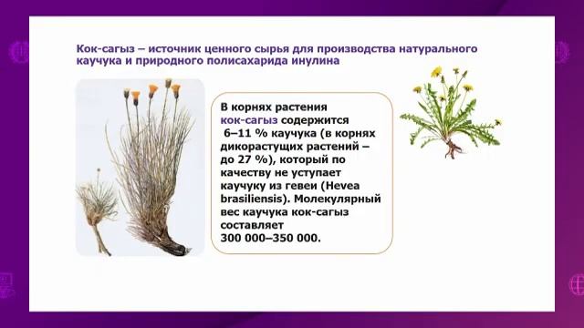 Химия. 11 класс. Алкадиены. Каучук /07.10.2020/