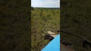 Как я чистил поле кусторезом на мтз 80.обзор 17.07.2018