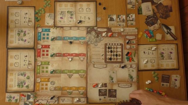 Генотип. Правила Lets play мнение.