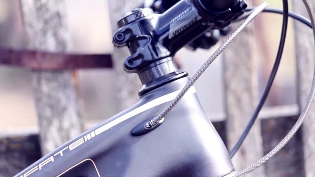 Specialized Fate Carbone 29 смотреть онлайн