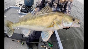 Рыбалка осенью на Волге с чемпионом PAL21 Максимом Арестовым