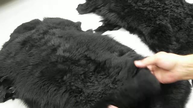 Лот - 107 Мех Тоскана Черная, 9 шт. смотреть онлайн