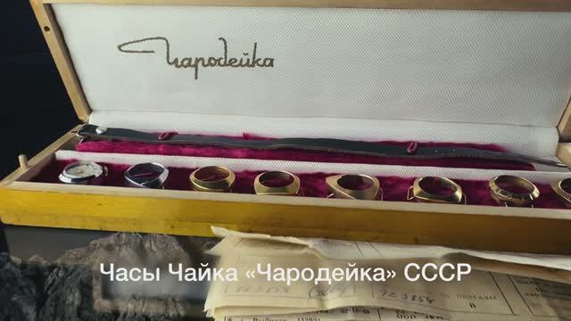 Часы Чайка Чародейка