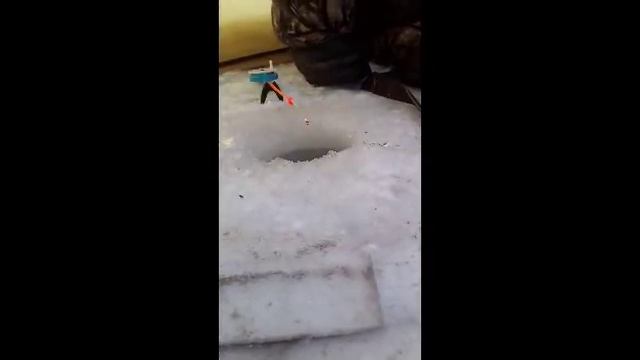 Зимняя рыбалка 31.12.17.оз.Берчикуль смотреть онлайн