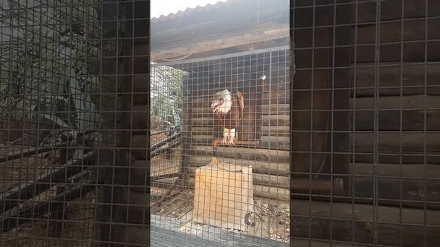 Порт Авентура (PORTAVENTURA WORLD)