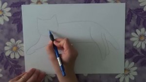 Как нарисовать кота поэтапно. Часть 4.