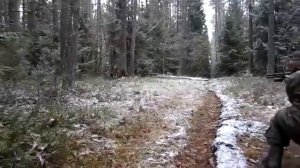 Охотник неудачник.ПРИКОЛ!