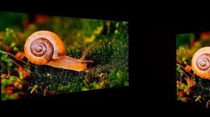 Formovie X5 4k laser x Tv Oled A1 será?