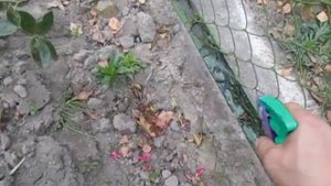 Смесь дизтоплива и пушечной смазки (пушечного сала). Часть 2.