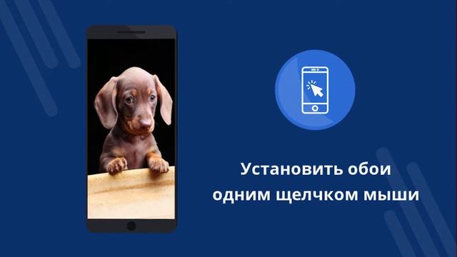 Сладкие животные 4k смотреть онлайн