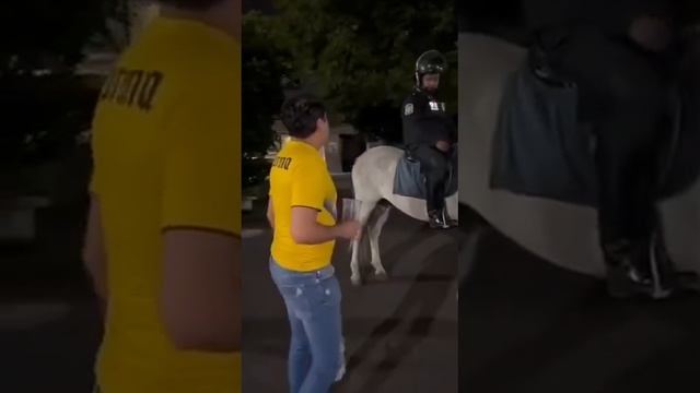 Можно погладить?