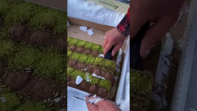 Здоровая еда — это продукты, которые выбирает человек, желающий противостоять болезням и до преклонн