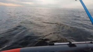 Рыбалка на камбалу!