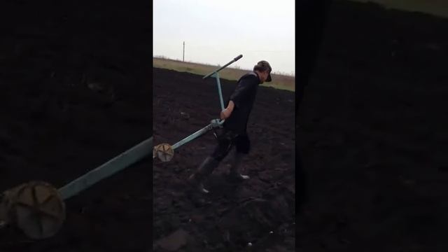 ЭлектроПлуг - посадка картофеля и вспашка