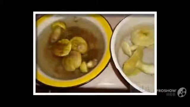 Гриб Зеленушка Tricholoma Equestre mushroom смотреть онлайн