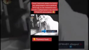 Сионизм - Подмена понятий- Молодёжь ☝️