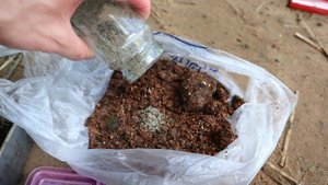 Какую прикормку использовать поздней осенью по белой рыбе. Прикормка для леща в октябре ноябре.