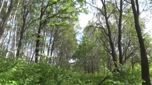 День и ночь. Музыка Сергея Чекалина. Музыка для души.