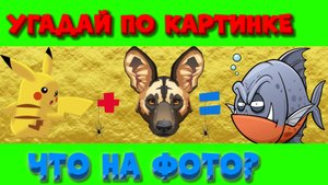 Угадайте! Пройдите эту мини-викторину и бросьте себе вызов!