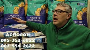 Подсолнечник Экватор ? Под ЕВРО ЛАЙТИНГ- AGROFON 095-352-6822
