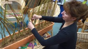 Как сделать живую изгородь из ивы?