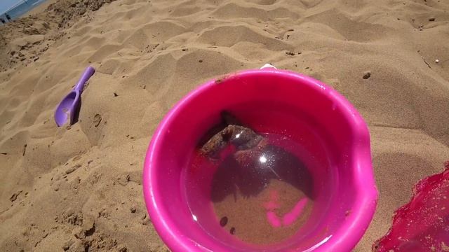 7.?? ЛИНЬЯНО САББЬЯДОРО. МОРСКОЙ ЗАЯЦ. ОТВЕЧАЕМ НА КОММЕНТАРИИ.